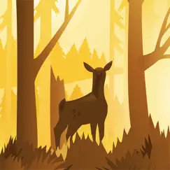wildfulness 2 - nature sounds logo, reviews