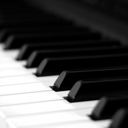 Learn how to play Piano PRO app reviews download