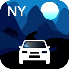 new york traffic cameras logo, reviews