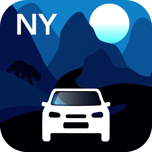 New York Traffic Cameras app reviews download