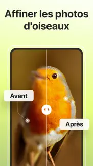 picture bird - oiseaux id iPhone Captures Décran 3