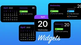 ulti-planner calendario iphone capturas de pantalla 4