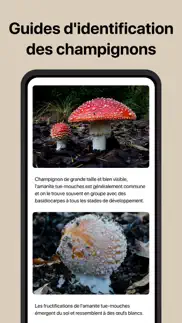 picture mushroom - champignon iPhone Captures Décran 4