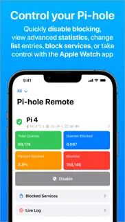pi-hole remote iphone images 1