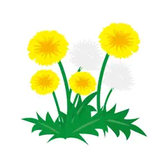 sticker dandelion logo, reviews