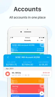 beewallet - account tracker iphone images 3