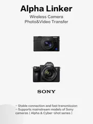 alpha linker - camera transfer ipad images 1