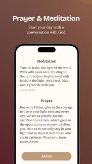 bible offline-kjv holy bible iphone bildschirmfoto 3