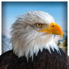 pet american eagle life sim 3d logo, reviews