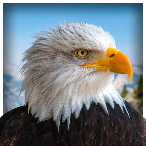 Pet American Eagle Life Sim 3D app reviews download
