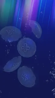 jellyfishgo - appreciation iphone images 3