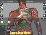 3d anatomy ipad capturas de pantalla 4