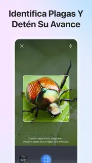 picture insect - insectos id iphone capturas de pantalla 4
