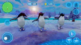 pingouin simulator arctic bird iPhone Captures Décran 4