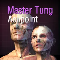 master tung acupuncture point inceleme, yorumları