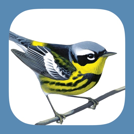 Sibley Birds 2nd Edition app reviews download
