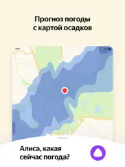 Яндекс — с Алисой айпад изображения 4