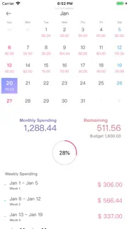 wesave - budget, money tracker айфон картинки 4