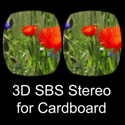 3D SBS Stereo for Cardboard app reviews download