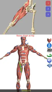 visual anatomy iphone capturas de pantalla 3