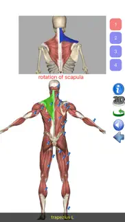 visual anatomy lite iphone resimleri 2