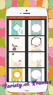 bunny photo frames iphone images 3