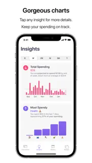 nudget: spending tracker iphone images 3