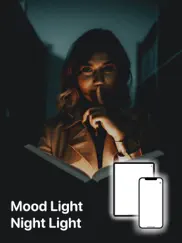 flashlight -torch light widget ipad images 3