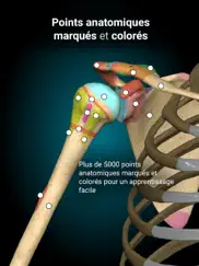 anatomy learning - anatomie 3d iPad Captures Décran 4