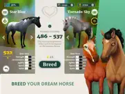 wildshade fantasy horse races ipad images 2