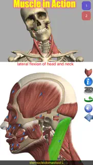 visual anatomy iPhone Captures Décran 1
