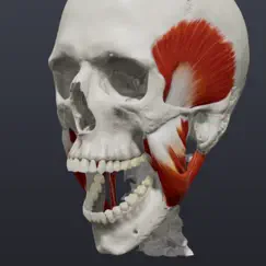 Skull, Teeth & TMJ Обзор приложения