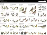 collins bird guide ipad resimleri 2
