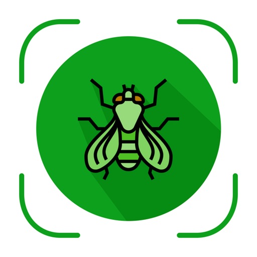 Bug Identifier - Insect Finder app reviews download