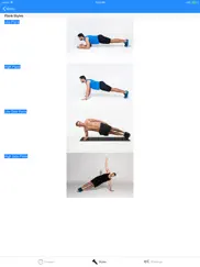 plank challenge 4 minutes ipad images 4