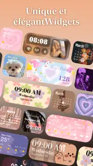 themepack-widgets & wallpapers iPhone Captures Décran 4