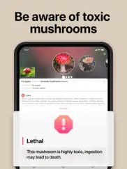 picture mushroom: fungi finder ipad images 3