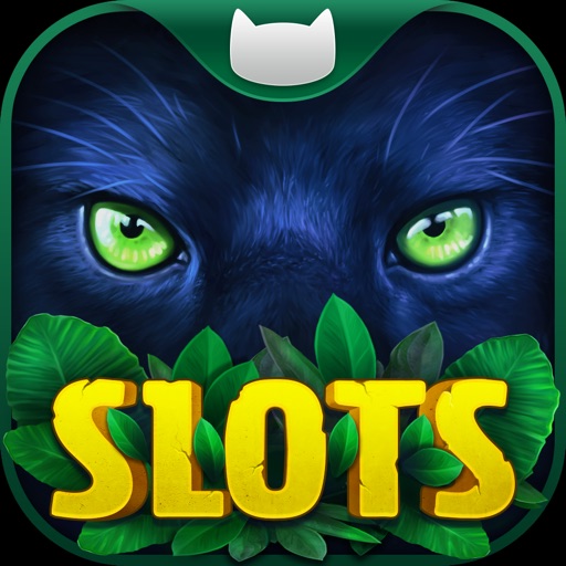 Slots on Tour - Wild HD Casino app reviews download