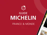le guide michelin iPad Captures Décran 1