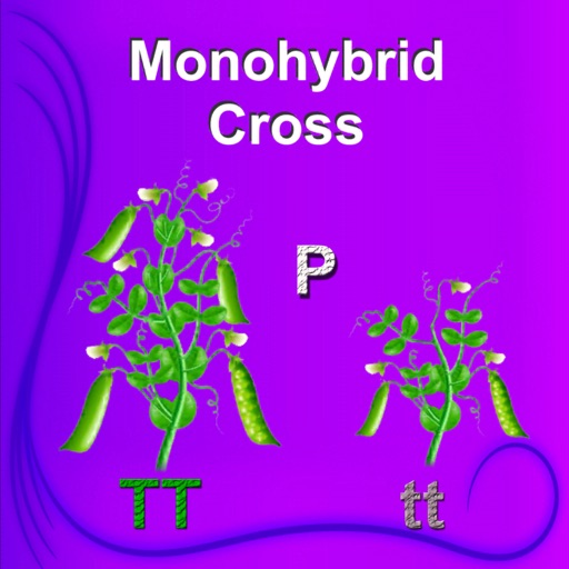 Monohybrid Cross app reviews download