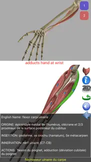 visual anatomy iPhone Captures Décran 2