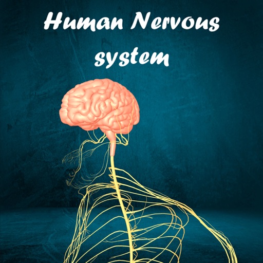 Human Nervous system app reviews download