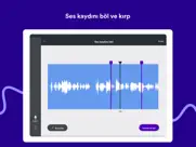 spotify for podcasters ipad resimleri 3