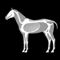 3D Horse Anatomy Software analyse, kundendienst, herunterladen