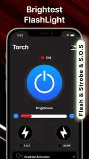 flashlight -torch light widget iphone images 3