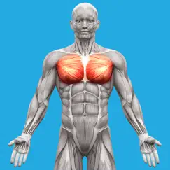 muscle system anatomy inceleme, yorumları