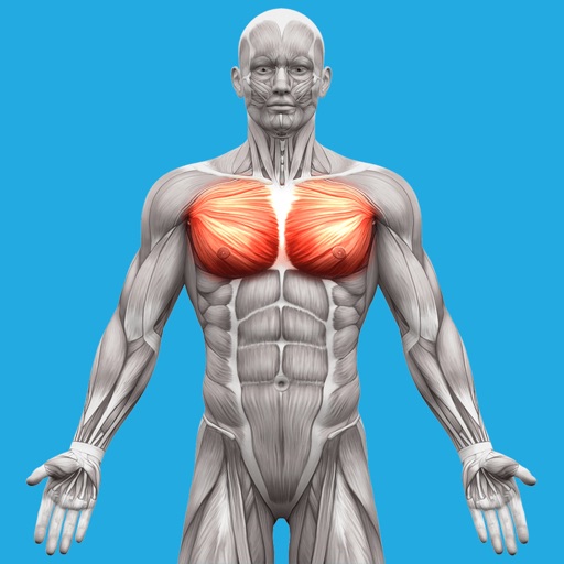 Muscle System Anatomy app reviews download