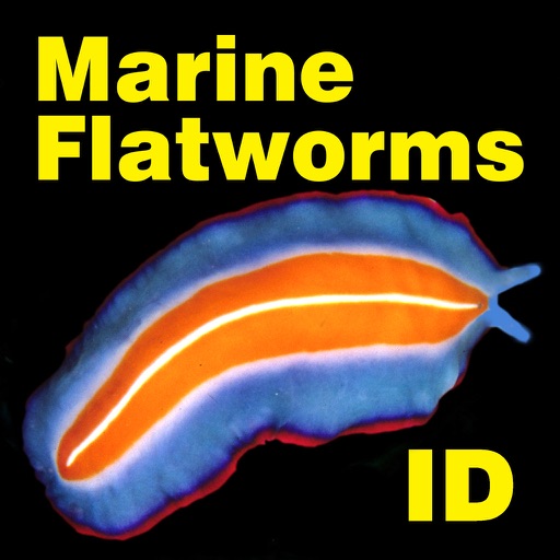 Marine Flatworms ID app reviews download