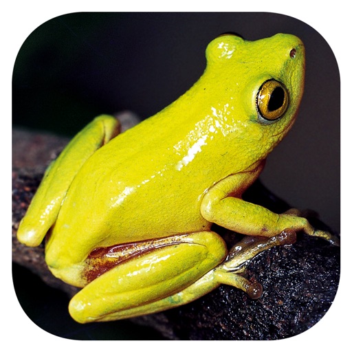 Frogs of Southern Africa app reviews download