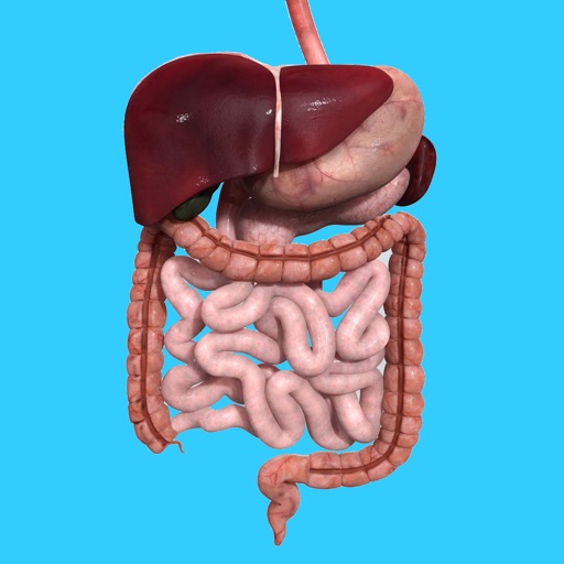 Digestive System Physiology app reviews download